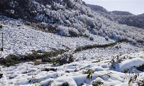 重庆到金佛山路线怎么走最快_重庆到金佛山路线怎么走最快呢