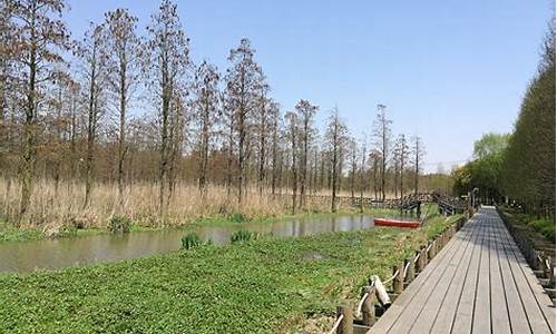 郊野公园面积_雄安郊野公园面积