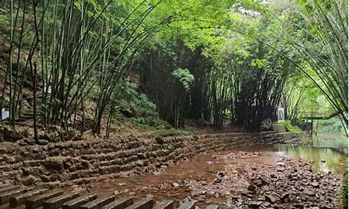 川西竹海一日游攻略_川西竹海一日游攻略自驾游